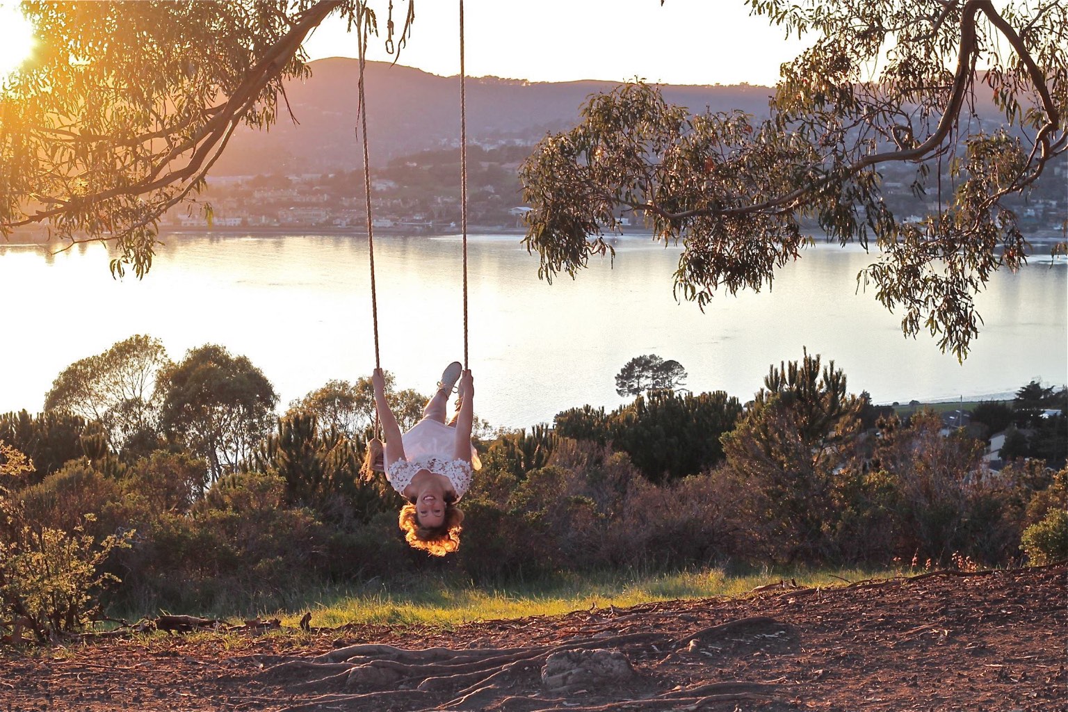 Swing in a park